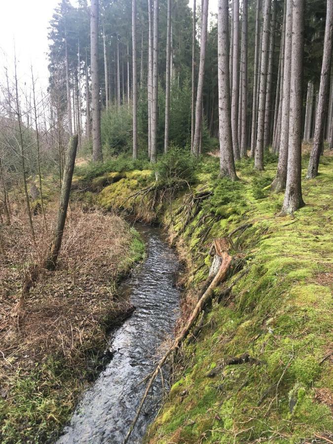 Nature Center Udoli Volavek Bezdruzice Bagian luar foto